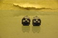 _IGP7295.JPG
