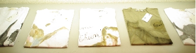 IMGP0814.JPG