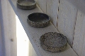 IMGP1033.JPG