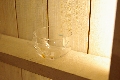 IMGP1246.JPG
