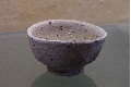 IMGP9575.JPG