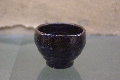 IMGP9684.JPG