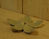 IMGP3792.JPG