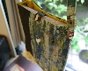 2008.4.23.064.JPG