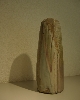 IMGP4702.JPG