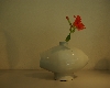 IMGP5377.JPG