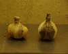 IMGP5680.JPG