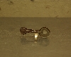 IMGP5912.JPG