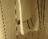 IMGP6319.JPG