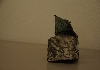 IMGP9582.JPG